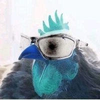 Aditya